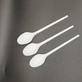 single use plastic polystyrene PS Table spoons 1