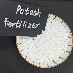 Potassium Nitrate For Fe (Hot Product - 1*)