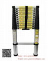 3.8 M Telescopic Ladder 1