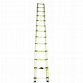 3.8 M Telescopic Ladder 3