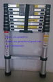 2 M telescopic ladder