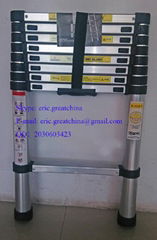 2 M telescopic ladder