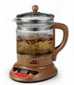 multi function electronic glass kettle