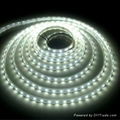 LED軟燈條 1