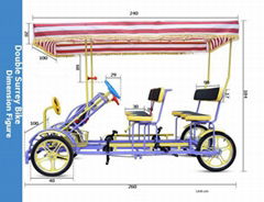 4 Wheel Surrey Bike