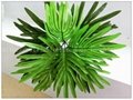 Artificial Flower Decoration Plastic Foliage 3