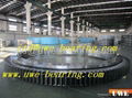 Professional Manufacturer of Slewing