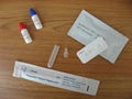 one step chlamydia rapid test