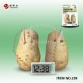 Potato clock science lab toy