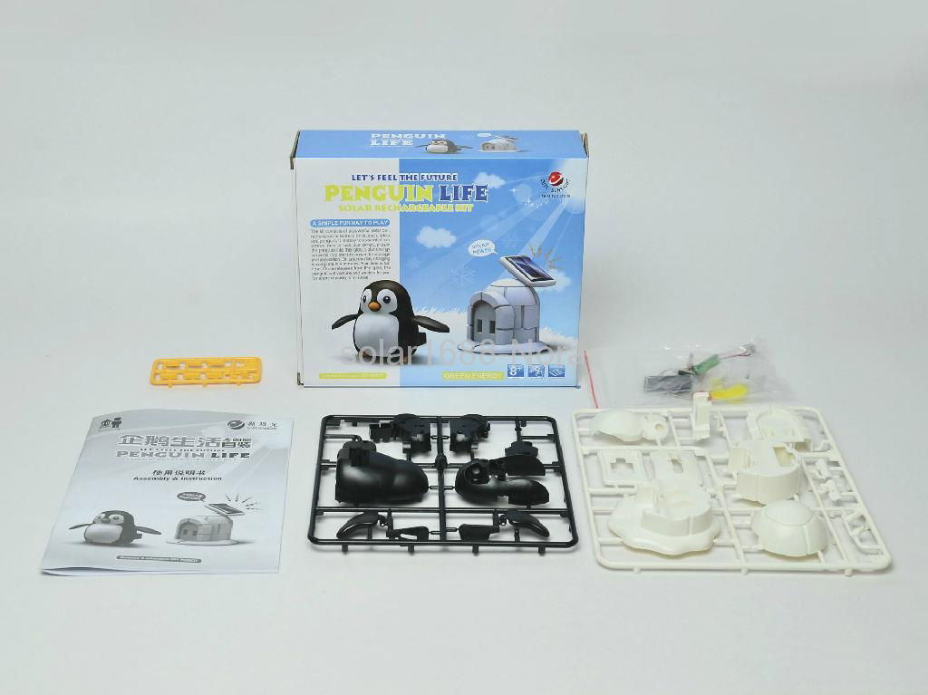 Penguin life-solar kit 5