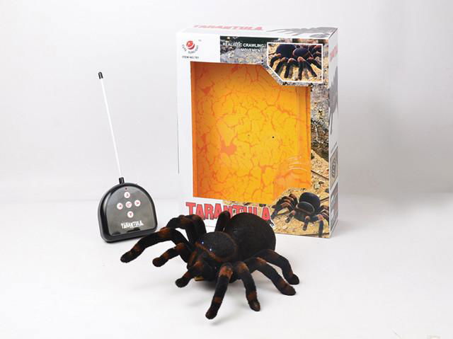 2022 Hot Selling Halloween Black Small Spiders 2