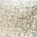 Herringbone White Lip Shell Mosaic Tile  2