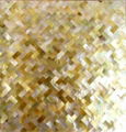 Polished Golden Sea Shell Tile Kitchen Yellow Lip Shell Mosaic 2