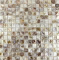 Square Freshwater shell mosaic tile  4