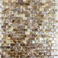 Square Freshwater shell mosaic tile  3