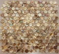 Square Freshwater shell mosaic tile  5