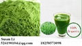 High Quality Organic Barley Grass Powder Extract Powder JAS Certified