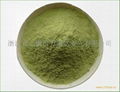 JAS Certified Oat Grass Powder Health Supplement Bulk Sale