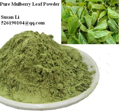 100% Pure High Quality Mulberry Leaf Powder Low Price