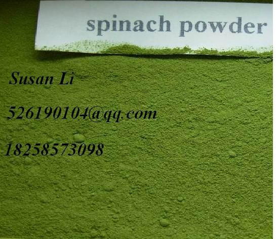 Pure Spinach Powder Green Food Grade A