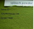 Pure Spinach Powder Green Food Grade A 1