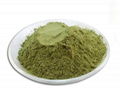 Green Tea Powder Green Tea Extract Powder Food Grade  2