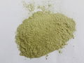 Pure Broccoli Powder Without Artificial Additives Bulk Sale  2