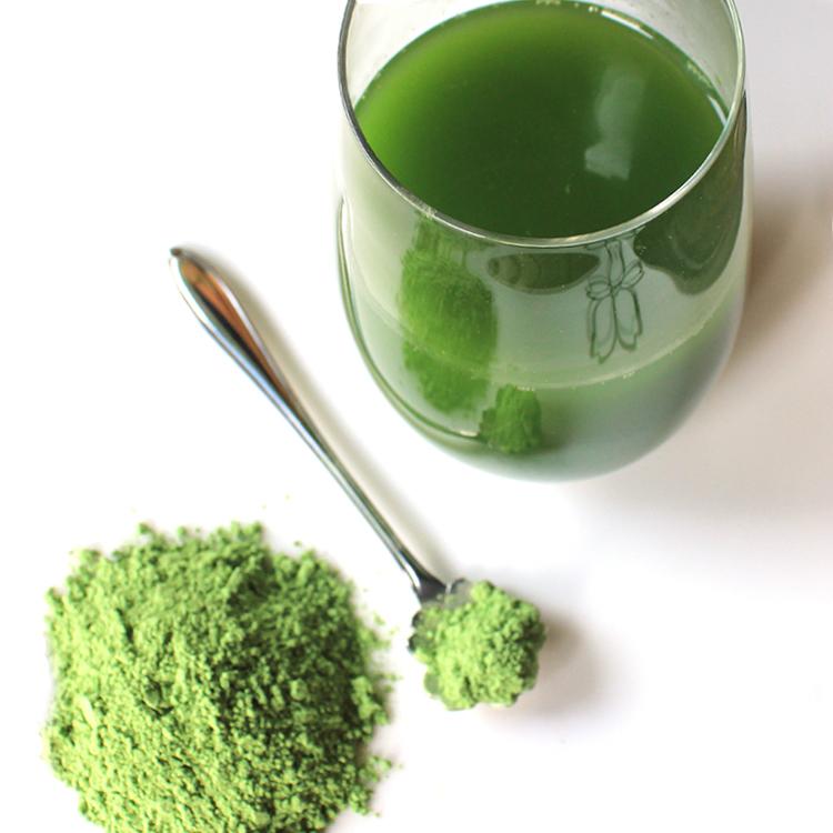 Barley Grass Powder Wheat Grass Powder Bulk Sale