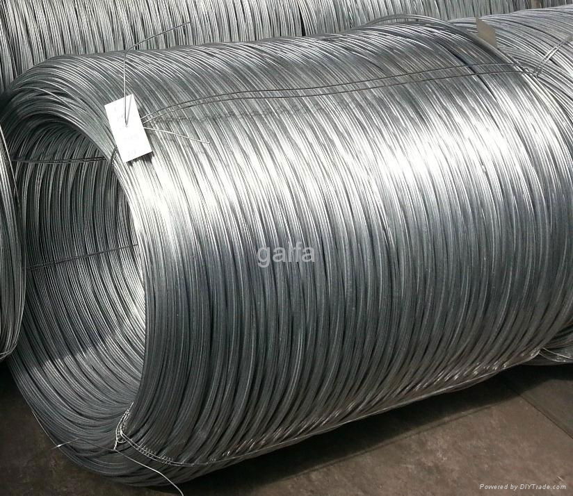 galvanized Steel wire