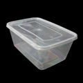 Plastic Take Away Food Container 4