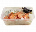 Plastic Take Away Food Container 5