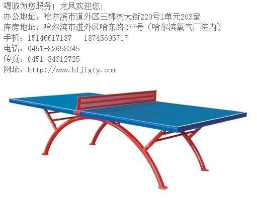 哈尔滨乒乓球台 2