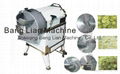 Bulb(Root) Vegetable Cutting Machine 1