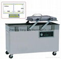  Double Chamber Vacuum Packing Machine