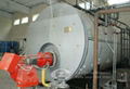 Horizontal gas fired boiler 2