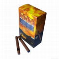 Health Smoking Disposable Electronic Cigar  4