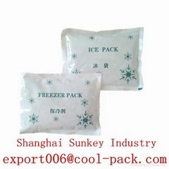 PE blue gel ice pack for cold storage