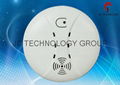 Smoke Detector- Independent (JC-380T) 
