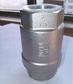 2PC Threaded Vertical Check Valve Stainless Steel 304 316