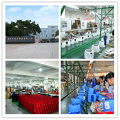 Lianjiang Ricco Electrical Appliance Co., Ltd