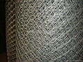 plastic extrueded  flat mesh 2