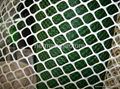 plastic extrueded  flat mesh 3