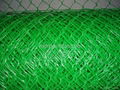 plastic extrueded  flat mesh 4