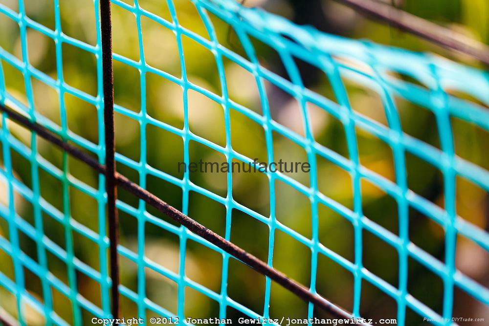 garden fence for vegetable climbing netting/plant support netting 4