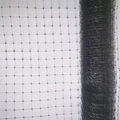 ANTI bird netting 3