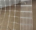 chicken fence netting for thailand 1