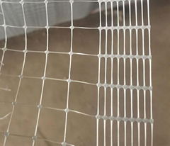 chicken fence netting for thailand