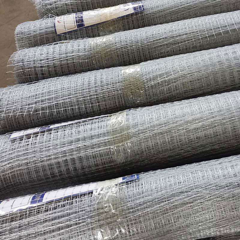 chicken fence netting for thailand 5