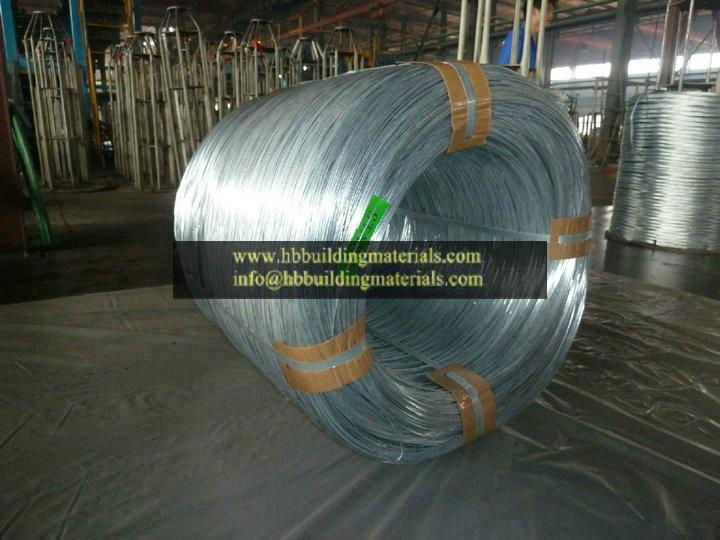 Galvanized iron wire 3