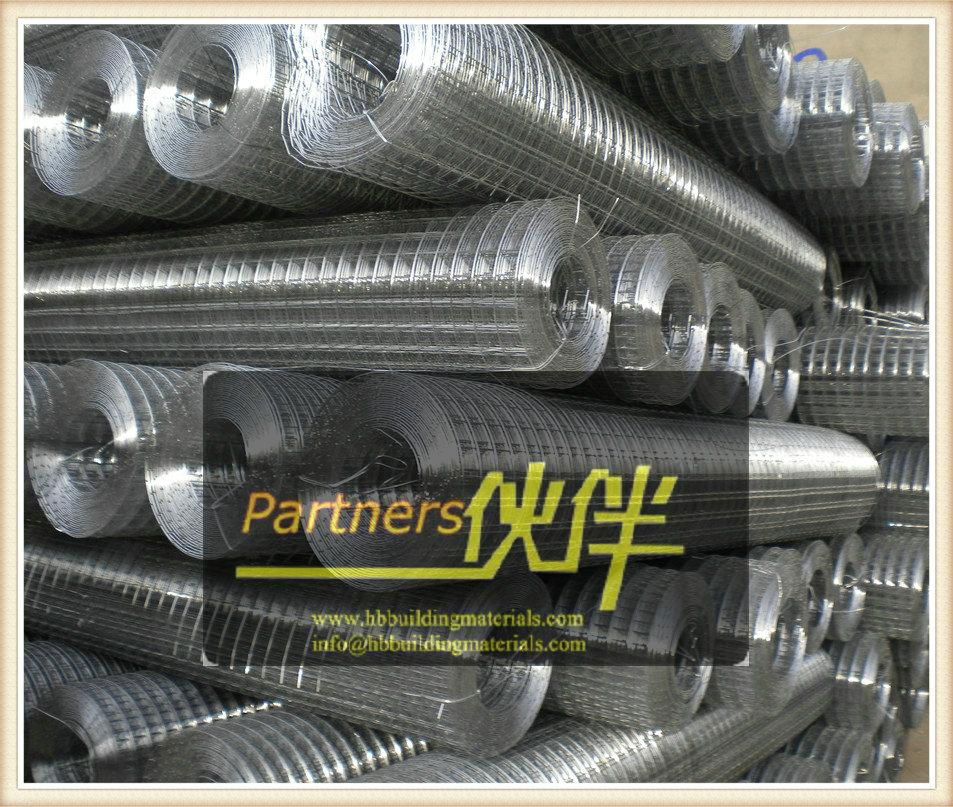 galvanized welded wire mesh 2